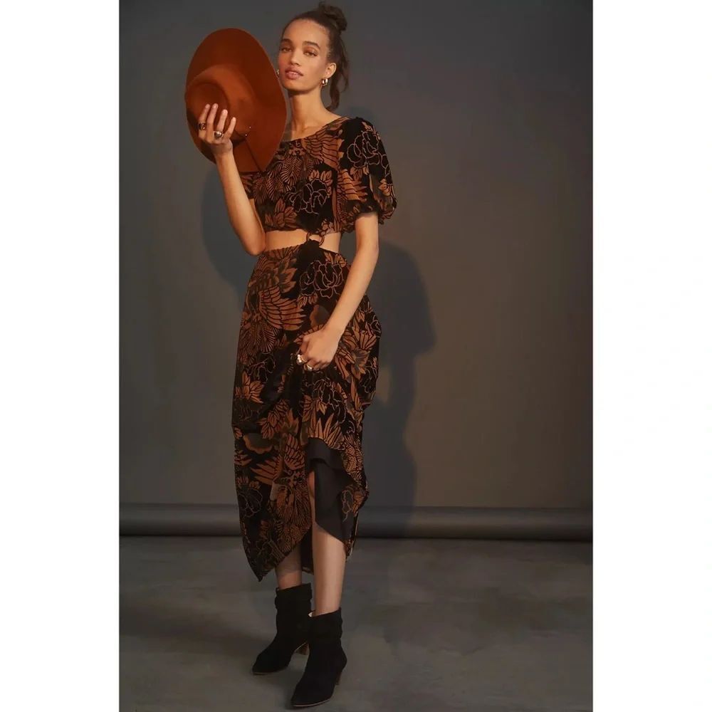 Anthropologie Let Me Be Burnout Velvet Maxi Dress